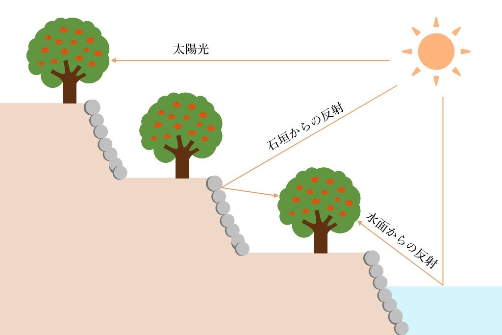 「石垣・海川の面・太陽」の三つの太陽の説明イラスト