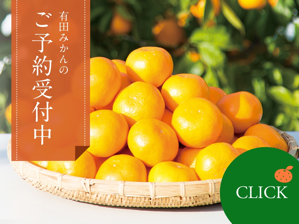 かごに盛られた有田みかん